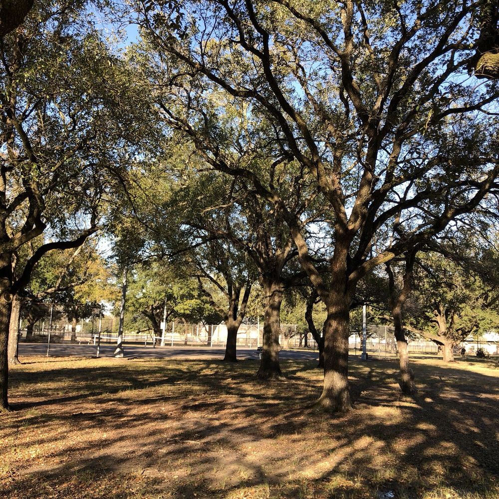 Spring Branch Real Estate